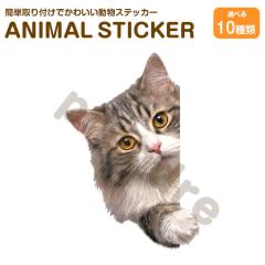 �L �X�e�b�J�[ �~�k�G�b�g �`�����ޔL ���킢�� ���� �A�j�}�� �V�[�� �J�[�X�e�b�J�[ �h���X�A�b�v �� �o�C�N �J�[�p�i ���B��