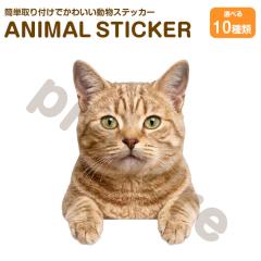 �L �X�e�b�J�[ �}���`�J�� �`�����ޔL ���킢�� ���� �A�j�}�� �V�[�� �J�[�X�e�b�J�[ �h���X�A�b�v �� �o�C�N �J�[�p�i ���B��