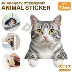 �L �X�e�b�J�[ ���ʈ�� �T�o�� �`�����ޔL �K���X ���� �V�[�� ���킢�� ���� �A�j�}�� �V�[�� �J�[�X�e�b�J�[ �h���X�A�b�v �� �o�C�N 