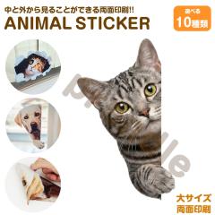 �L �X�e�b�J�[ ���ʈ�� �A�����J���E�V���[�g�w�A �`�����ޔL �K���X ���� �V�[�� ���킢�� ���� �A�j�}�� �V�[�� �J�[�X�e�b�J�[ �h��