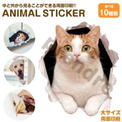 �L �X�e�b�J�[ ���ʈ�� �}���`�J�� ��яo���L �K���X ���� �V�[�� ���킢�� ���� �A�j�}�� �V�[�� �J�[�X�e�b�J�[ �h���X�A�b�v �� �o