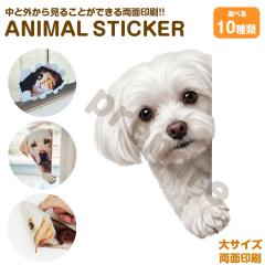 �� �X�e�b�J�[ ���ʈ�� �}���`�[�Y �`�����ތ� �K���X ���� �V�[�� ���킢�� ���� �A�j�}�� �V�[�� �J�[�X�e�b�J�[ �h���X�A�b�v �� �o