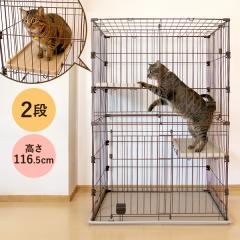 PMJ �L���b�g�T�[�N�� �P�[�W 2�i ���� �Z�� ���� �`8kg �X�e�b�v2���t�Ńl�R�����̉^���s������ ���q���₨�����|���ɂ҂����� �L �Q