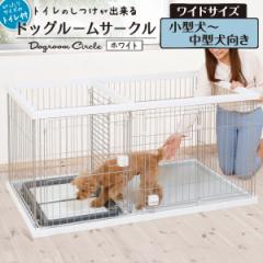 �y�e�B�I �g�C���̂������o���� �h�b�O���[���T�[�N�� �Q�[�W �P�[�W �z���C�g �� ���C�h ���p �T�[�N�� ���� ���� �ؐ� �� �X�y�[�X��