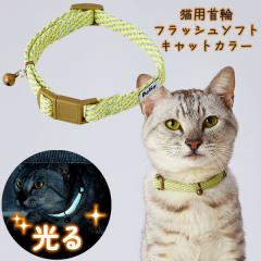 yeBI Lp tbV\tgLbgJ[ CG[ SL zn Petio