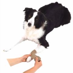 �y�e�B�I zuttone �����Ƃ� �V�����p ���������L�k��� �����p�i �V�����p�i ��� �� �V�j�A���`���� ���p �K�[�[�̌Œ�⏝����