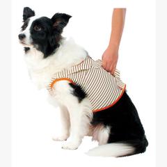 �y�e�B�I zuttone �����Ƃ� �V�����p �⏕�@�\�t�x�X�gK 2L �E�F�A �A�N�Z�T���[ ���p�i �� ���� ���^�� �u���e���A �{�[�_�[�R��