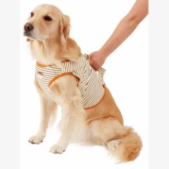 �y�e�B�I zuttone �����Ƃ� �V�����p �⏕�@�\�t�x�X�gK 3L �E�F�A �A�N�Z�T���[ ���p�i �� ���� ��^�� �S�[���f�����g���[�o�[ 