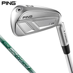 PING s@iDi AChCrOACA pEteB ACA^ [eBeB@N.S.PRO 950GH neo X`[Vtg [2025Nf