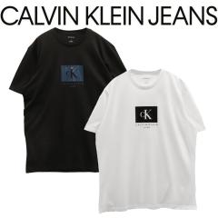 JoNC TVc  S Calvin Klein Jeans Y fB[X gbvX mO {bNXS vgT 4R8012S CK N