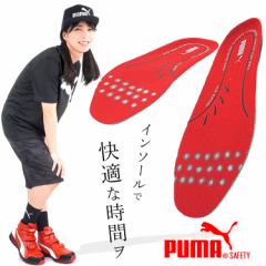 C\[ v[} PUMA ~ bh evercushion PLUS SCΉy/cƓ16zy1܂ŃlR|XΉz