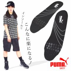 C\[ v[} PUMA ~ ubN evercushion PRO SCΉy/cƓ16zy1܂ŃlR|XΉz