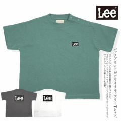 Lee [ TVc  obNvg ChVGbg q LbY q LK0800y/cƓ16zy1܂ŃlR|XΉz