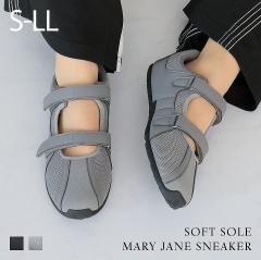 ySi10OFFN[|zXj[J[ fB[X HV VIVIAN  xN }WbNe[v bV XG[h  oGRA 