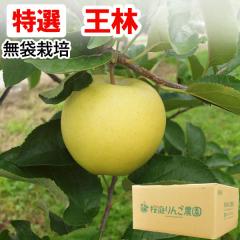 yIz܍͔|сij XY񂲁i10kgjw엿y񂲔_zyɂEszyz