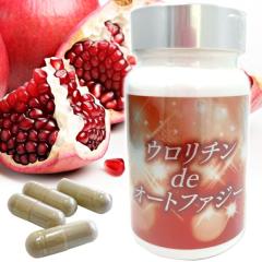 E`deI[gt@W[i26.1gi1290mgie230mgj~90jjy{Ozyz