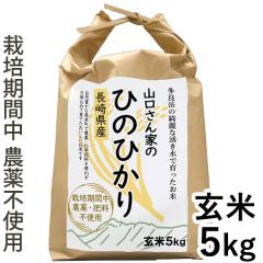 y11Vizߘa7NYV ͔|Ԓ_sgp  茧Y Ђ̂Ђ āi5kgjŷ݂I[gz