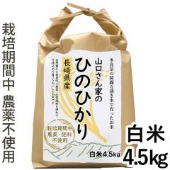 y11Vizߘa7NYV ͔|Ԓ_sgp  茧Y Ђ̂Ђ āi4.5kgjŷ݂I[gz