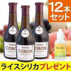 �y�v���[���g�t�z�R�[�{���}�[�x���i525ml�j�y12�{�Z�b�g�z�y���y��z�y���ł��|�C���g10�{�z�y���������z