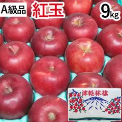 yAizgʁi傭jX񂲁i9kgjy|L@_zyɂEszyz