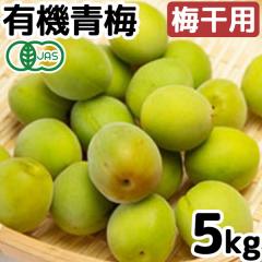 �y�\�񒍕�6�����{��蔭���\��z�L�@�~�E�g��̔~�i�~���p�j�i5kg�j�y���\�[�z�y�����ɂ�����E�����s�z�y�������z��
