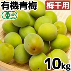 �y�\�񒍕�6�����{��蔭���\��z�L�@�~�E�g��̔~�i�~���p�j�i10kg�j�y���\�[�z�y�����ɂ�����E�����s�z�y�������z��
