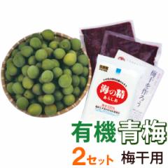 �y�\�񒍕��z����~���L�b�g�i�L�@�~2kg�A��400g�A�L�@���݂���600g�j�y2�Z�b�g�z�y�C�̐��z�y�N�[���֔����z�y�����ɂ�����E����
