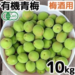 �y�\�񒍕��z�y6�����{��蔭���\��z�L�@�~�E�g��̔~�i�~��p�j�i10kg�j�y���\�[�z�y�����ɂ�����E�����s�z�y�������z��