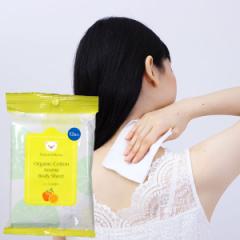 �y�ċG����z�i�`�������[�� �I�[�K�j�b�N�R�b�g���A���}�{�f�B�V�[�g�i12�����j�yG-Place�z