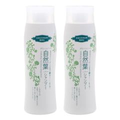 VRR100 RtVv[i300mljy2{ZbgzyO[m[gzyzZ