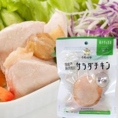 Y{̋gp T_`LilMIji100gjŷz