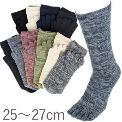 �yEM�\�b�N�X�z5�{�w�N���[�i���M�����[�j��iMIYABI�j�iM�T�C�Y25�`27cm�j�y���R�j�b�g�H�Ɓz