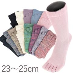 �yEM�\�b�N�X�z5�{�w�N���[�i���M�����[�j��iMIYABI�j�iS�T�C�Y23�`25cm�j�y���R�j�b�g�H�Ɓz