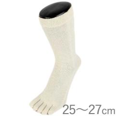 �y5���V���i�z�yEM�\�b�N�X�z5�{�w�\�b�N�X �w���v �N���[��i���Ȃ�jM25�`27cm�y���R�j�b�g�H�Ɓz