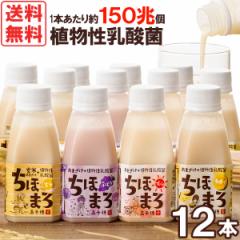 ���܂����{���_�ہw���ق܂�x�i150g�j�y�I�ׂ�12�{�Z�b�g�z�y����䃀�����сz�y���������z