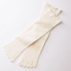 TAKEFU|z CgGA[5{w\bNX i`i22`24cmjyit@z