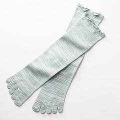 TAKEFU|z CgGA[5{w\bNX \i22`24cmjyit@z