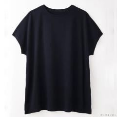 TAKEFU|z V[gX[usVcifB[Xj_[NlCr[iM`LTCYjyit@z