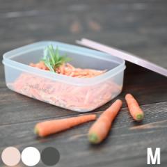 y݌ɌzGoX N^OReiip^jۑeiMTCYi870mljjyEB}bNXz