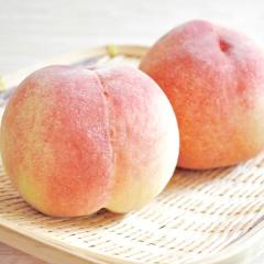 �a�̎R���Y �c������̓��i��3.8kg�i10�`15�ʁj�j�y�O���[���W�����N�V�����z�y�����ɂ�����E�����s�z�y���\�[�Ă̌��I�M�t�g�z�y�|