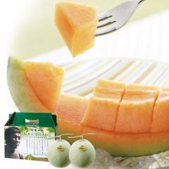 ��{����̗L�@�������u�e�B�A���v�i��1.5kg�~2�ʁj�y���\�[�z�y�����ɂ�����E�����s�z�y���\�[�Ă̌��I�M�t�g�z�y�|�C���g5�{6��30
