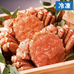 Y ъIi2ti1kgjjynЁzyɂEszynЂ̃EC^[Mtgz