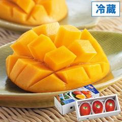 ���n�}���S�[�i��1kg�i2�`4�ʁj�j�y�n���Ёz�y�����ɂ�����E�����s�z�y�n���Ђ̃T�}�[�M�t�g�z��