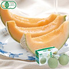 �k�C�����x�ǖ�L�@�ԓ��������i���s�A���b�h�j�i��1.3kg�~2�ʁj�y�n���Ёz�y�����ɂ�����E�����s�z�y�n���Ђ̃T�}�[�M�t�g�z��