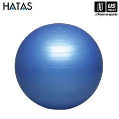 HATAS �o�����X�{�[���Z�C�t�e�B�[ �u���[ 55cm(�{�̂̂�) ����z���s�� [����][����](���[���֕s��)