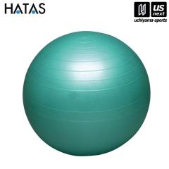 HATAS oX{[ZCteB[ O[ 65cm({̂̂) zs [][]([֕s)