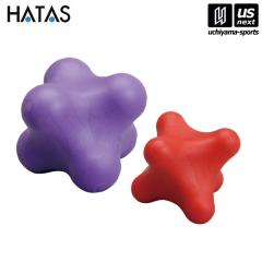 HATAS Zs[|bh 召Zbg zs [][]([֕s)