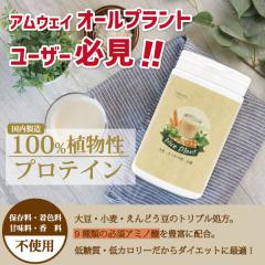 �A�C�i�`�����v���~�A�� �i�C�X�v�����g �i450g����j