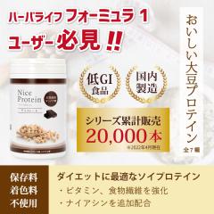 �A�C�i�`�����v���~�A�� �i�C�X�v���e�C�� �`���R���[�g �i500g����j