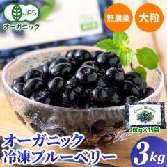 �Ⓚ�u���[�x���[ ���_�� 3kg (200g�~15�p�b�N) �I�[�K�j�b�N�u���[�x���[ �L�@JAS ��e�� �����p ���K���� �嗱 �f���[�N �t���[�c �ʕ�